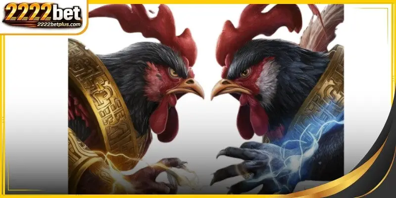 Navigate our intuitive platform to find the best Sabong Online live matches