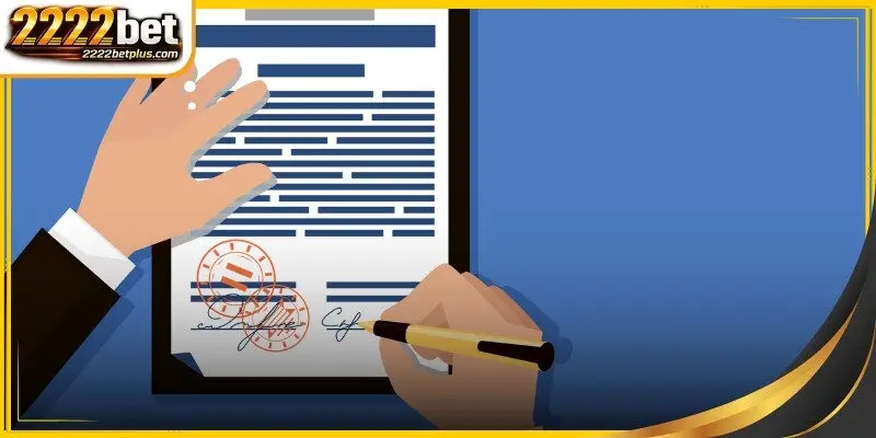 A detailed graphical representation of the user and verification process